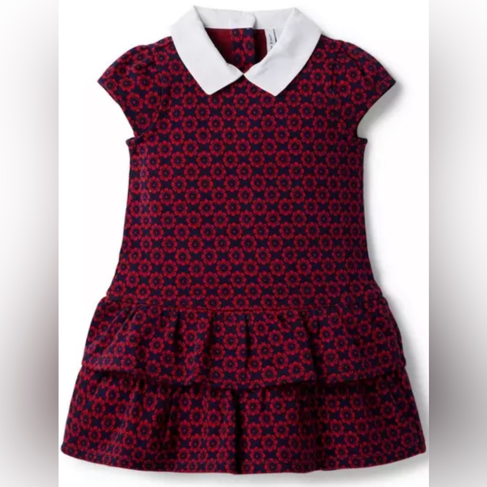 Janie and Jack Floral Drop Waist Jacquard Dress Navy & Red 18-24months